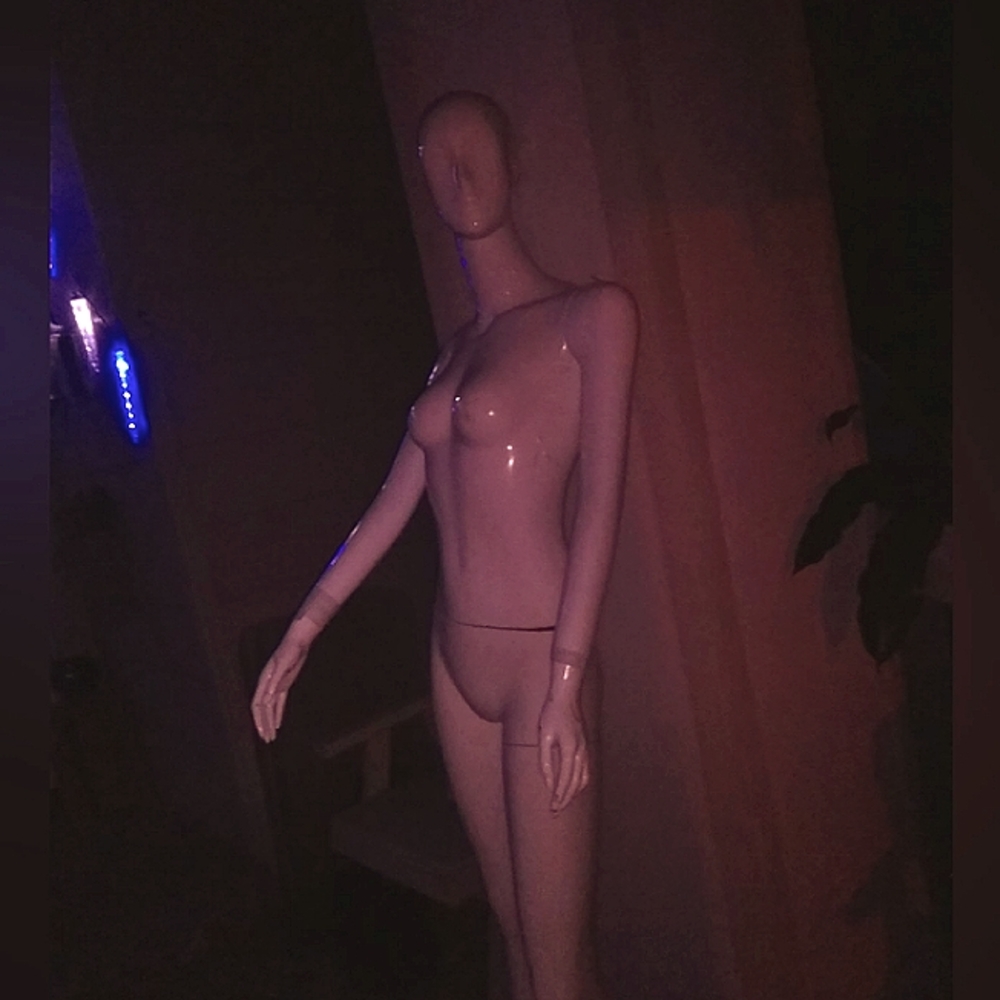 Mannequinn, 1 full anatomy(female), plus 1 extra torso(female, no arms or legs.